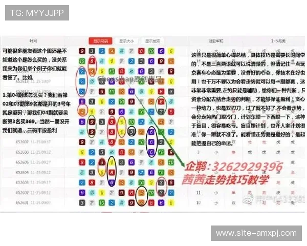 分析金鹰全天飞艇计划的核心玩法与特色亮点，帮助新手快速入门并掌握关键技巧